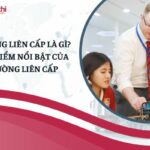 Trường liên cấp là gì