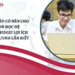 có nên cho con học hệ Cambridge