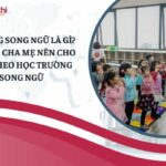 Trường song ngữ là gì